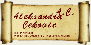 Aleksandra Čeković vizit kartica